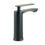 Rolin Mitigeur Lavabo Noir Mat en Inox