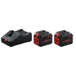 Set Bosch ProCORE18V 12.0Ah x2 + Chargeur GAL 18V-160 C – Image 2